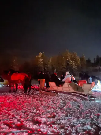 Goście w saniach przed wyjazdem