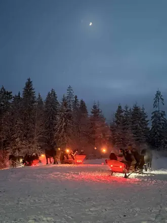Kulig o zmierzchu, nad lasem księżyc